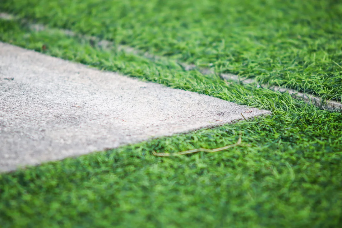 Close-up of an artificial turf edge finished neatly against a concrete paving joint